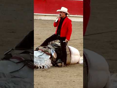 Se canso de esperar recostada en la cama. #shorts