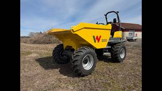 Wacker Neuson Wacker Neuson DW90-3 hjuldumper - Verneb&oslash;yle (ROPS) - 83 arbeids Minidumper | Bild 4 - Machineryline