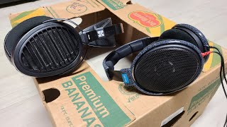 HiFiMAN Arya vs Sennheiser HD600 Comparison