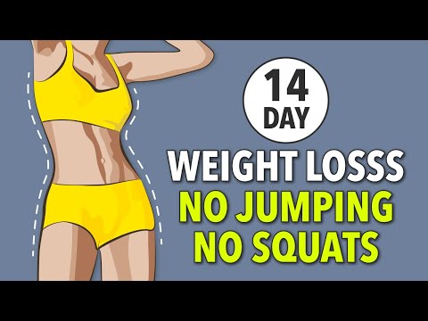 14-Day Weight Loss Challenge: No Jump, No Squat Daily Workout