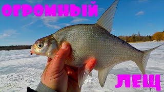 Летняя рыбалка с михалычем на леща