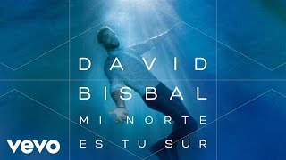 David Bisbal - Mi Norte Es Tu Sur (Audio)