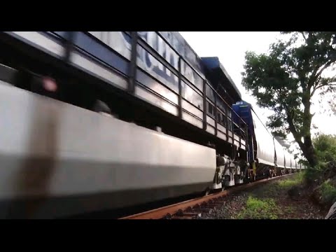 Organização criminosa volta a agir em trens de carga na região