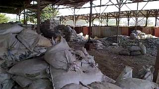 preview picture of video '(Pebble Mosaic) Golden Stone Indonesia (Gosindo) Quarry Purwosari part 2.MP4'