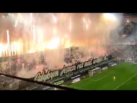 Oprawa na meczu Legia Warszawa - Warta Poznań. 50 LAT ŻYLETY | 25.11.2023