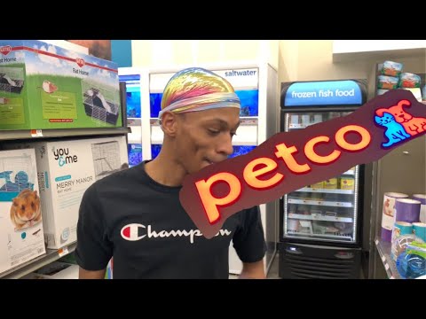 YouTube video about: How much are ferrets at uncle bill's?