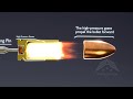 How a Bullet Works 3D Animation