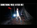 SOMETHING DESTROYED MY TENT My FACE To FACE ENCOUNTER HOT TENT CAMPING In HAUNTED APPALACHIANS