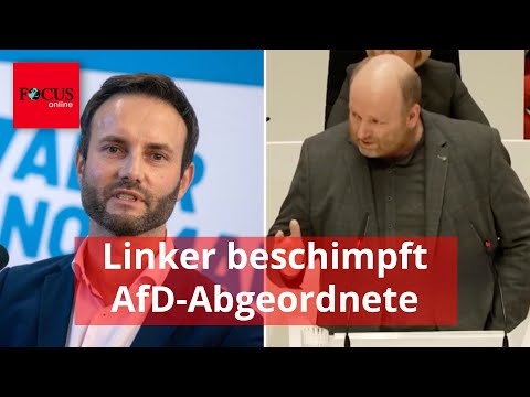 Linker nennt AfD-Abgeordnete „menschliche Arschlöcher“