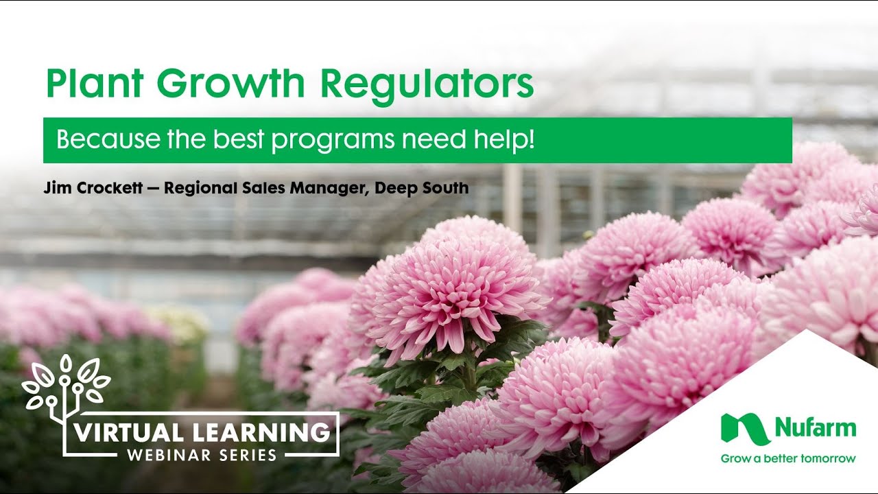 Greenhouse/Nursery Plant Growth Regulators