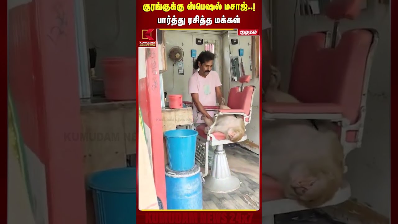 குரங்குக்கு ஸ்பெஷல் மசாஜ்..! பார்த்து ரசித்த மக்கள் | Monkey Massage | Saloon | Viral Video