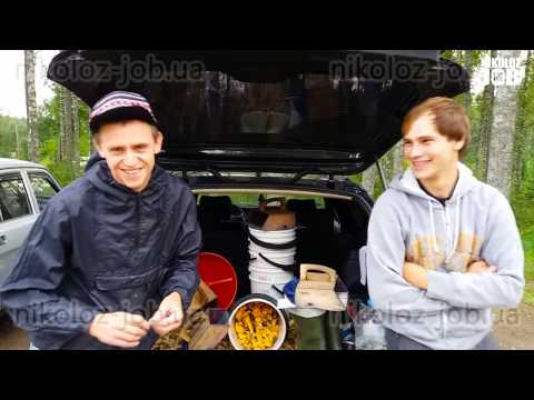 Сбор ягоды. Работа в Европе (Финляндия, Швеция)