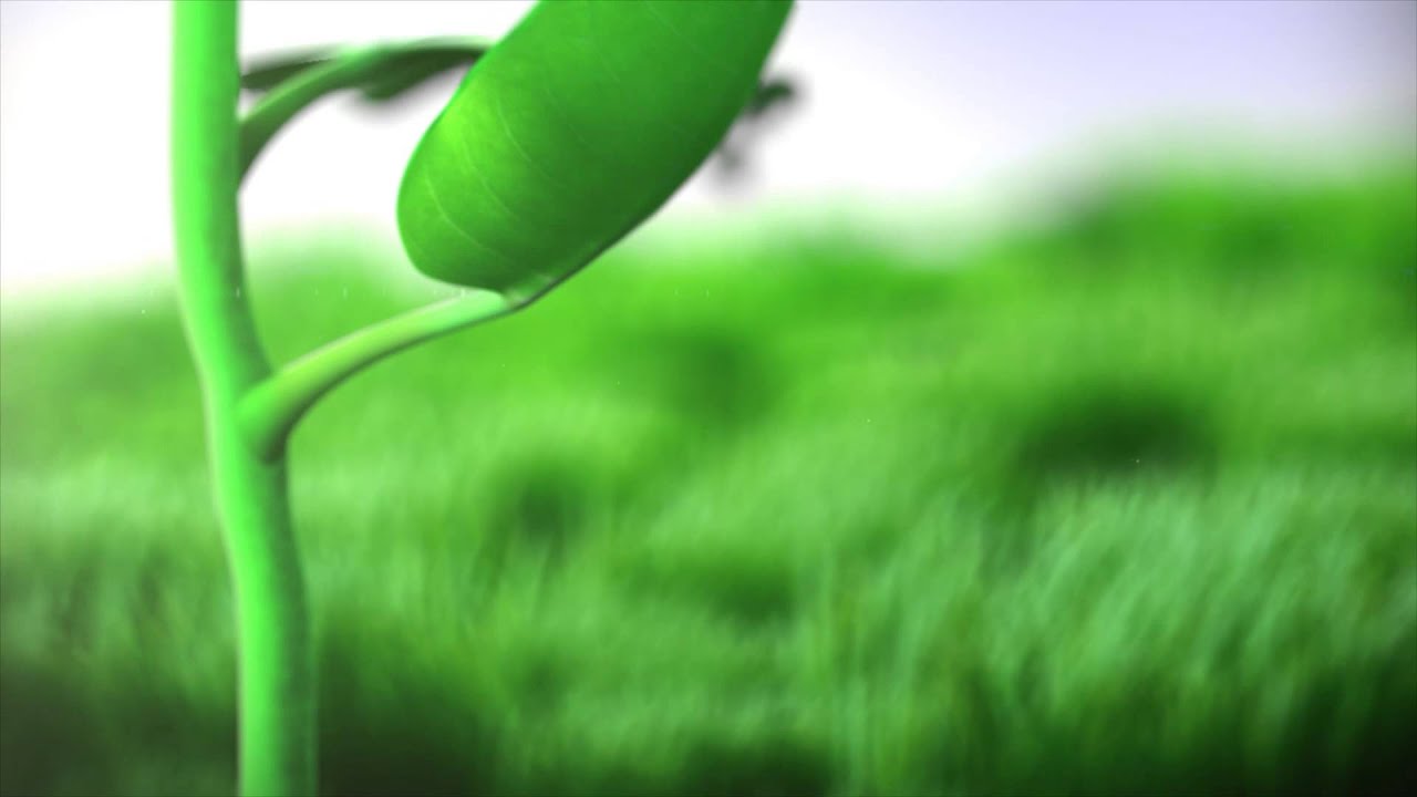 The Conscious Parent Webinar Series Launches Feb. 4th