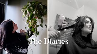 reinventing myself, cutting my hair & getting rid of all my plants
