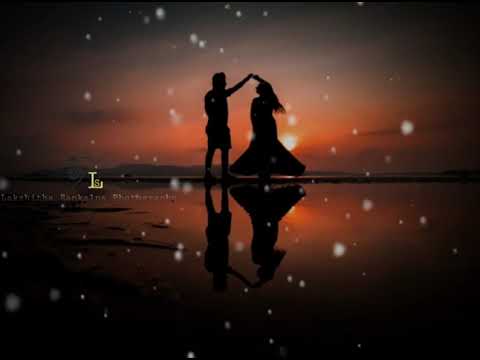 sansare me purudu hamuweemaki. (whatsapp status video) LS Photography