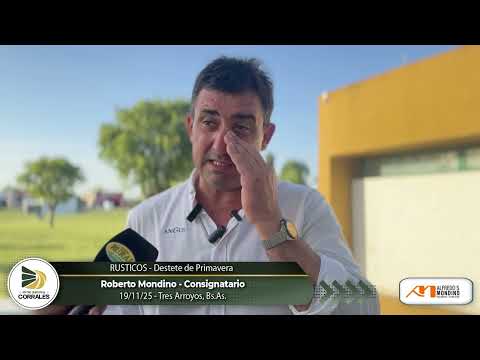 19-11-25 - Roberto Mondino - Consignatario - RUSTICOS  Destete de Primavera - Tres Arroyos, Bs.As.