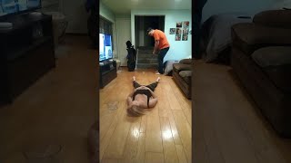 faze tari carantina - golf comic in casa