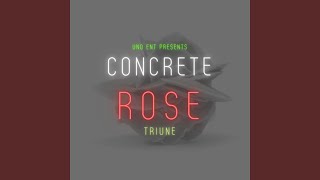Concrete Rose Music Video