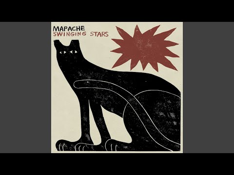 Reflecting Everything - Mapache