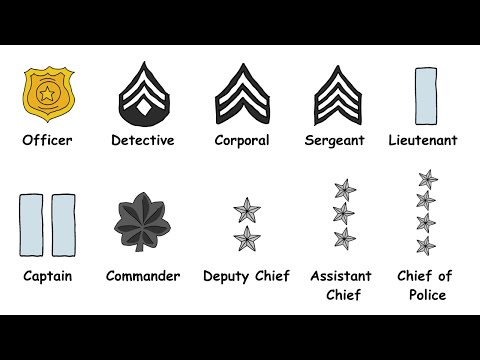 Lapd Rank Structure