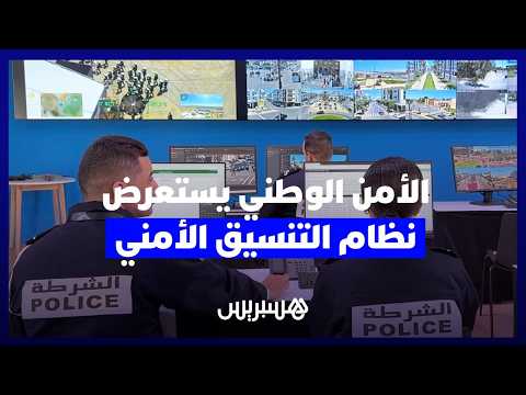 نظام التنسيق الأمني 