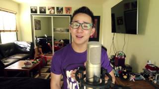 Made In The USA - Demi Lovato (Jason Chen Cover)