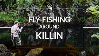 Dry Fly fishing for Trout | Scottish Highlands | River Lochay and Dochart | Fly-fishing in Scotland