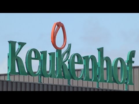 Keukenhof Gardens 2017 - Der schönste Frühlingspark der Welt - AIDA