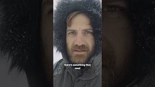 Why everyone wants Greenland