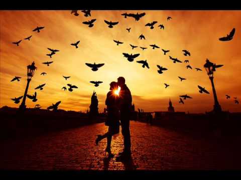 Gulgine.Mollaemet  --- Seghinimen