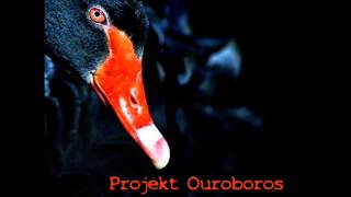 Projekt Ouroboros - Life is a Game without Manual