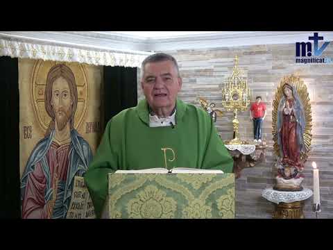 "Cómo tener Paz cuando Sufres"| Homilía: Miércoles, XVII Semana del T. O. (30-07-25)| P. Santiago M.