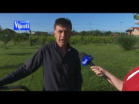 BOJE JUTRA   Održavanje travnjaka