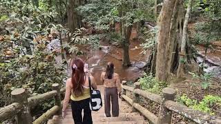 ทุ่งดอกบัวตอง 2567