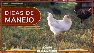Miniatura do vídeo