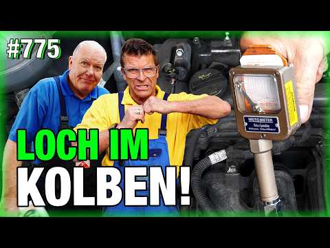 TODESURTEIL für KIA Sportage? 🪦 Gänsehaut-Geräusche!!... 🤯😭 | Transit ist schon wieder da! 😳