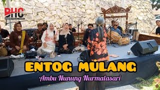 Download lagu LIVE SESSION - ENTOG MULANG (NUNUNG NURMALASARI) mp3