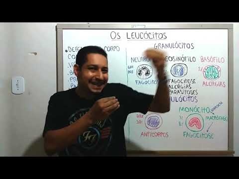 OS LEUCÓCITOS