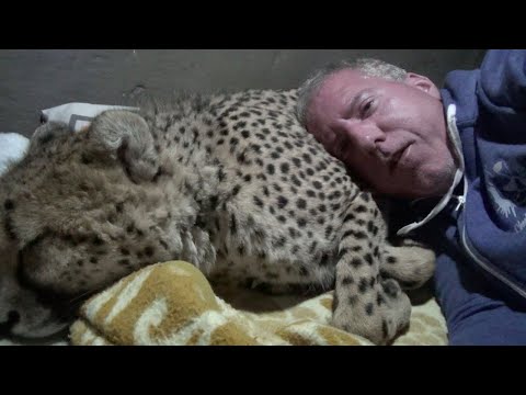 download lagu mp3 mp4 The Beasts Of Eden Almost Sleeping, download lagu The Beasts Of Eden Almost Sleeping gratis, unduh video klip The Beasts Of Eden Almost Sleeping