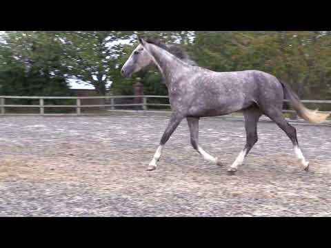 Decantah WD (aka Dee Dee)