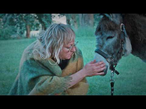 Donkey Days | Trailer | New Directors/New Films 2026