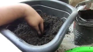 Miniatura do vídeo