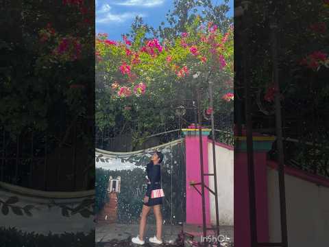 The most beautiful photo spots 😍 #short #shorts #travel #pondicherry