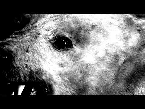 VOX LOW - HENRY RODE (OFFICIAL)