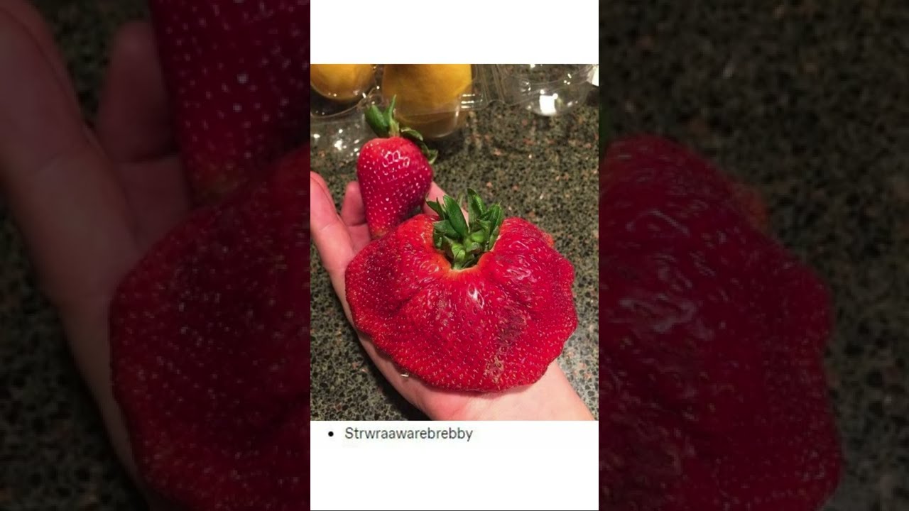 Tumblr Short: Froomps