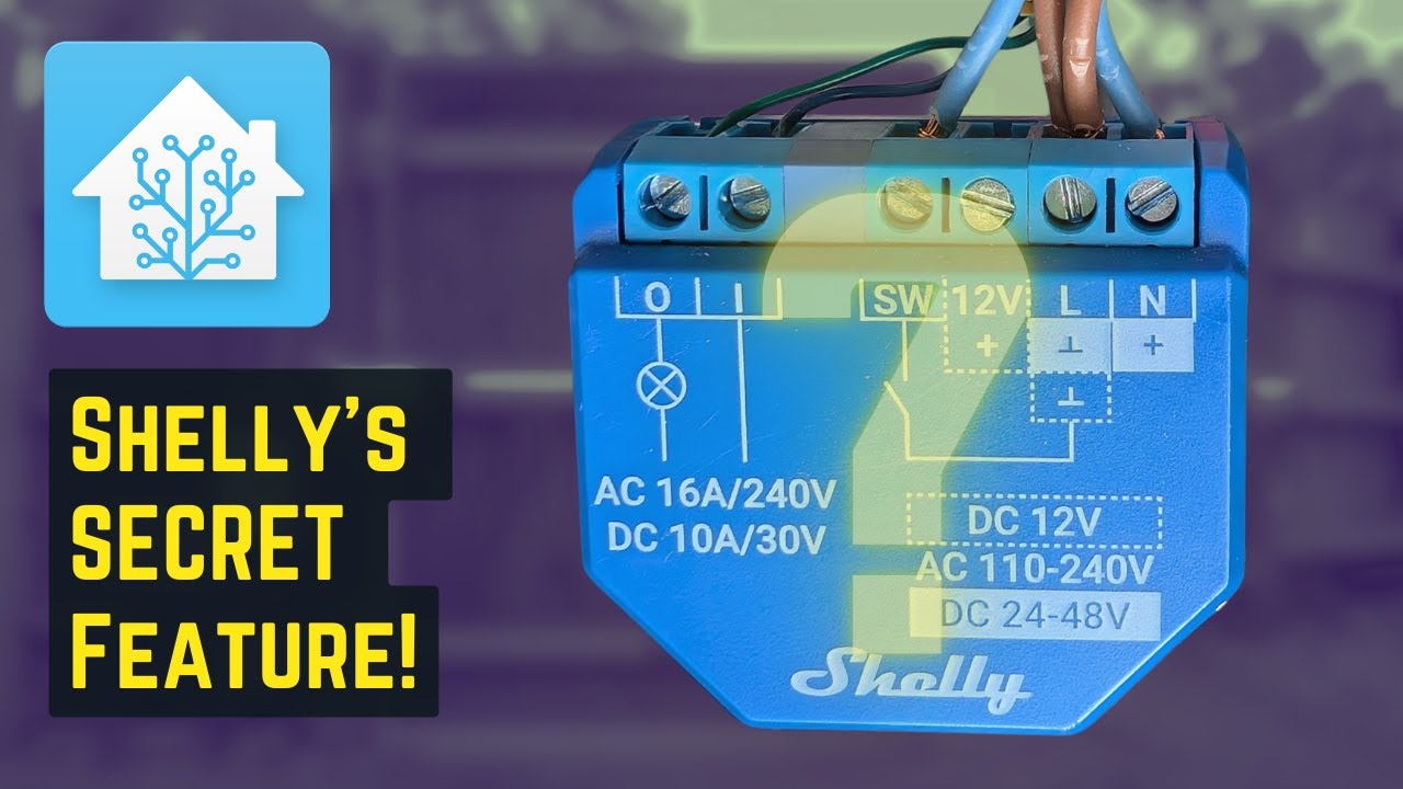 Shelly 1 Plus: The Swiss Army Knife of Home Automation!