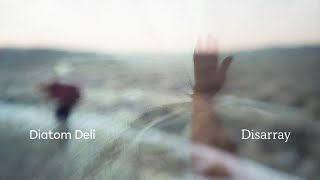 Diatom Deli – “Disarray”
