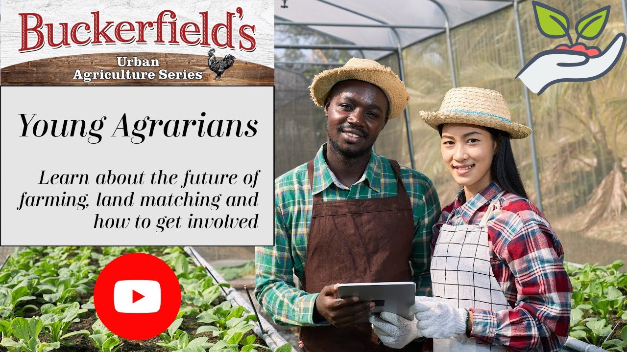Young Agrarians | The future of farming, land matching and getting involved in agriculture