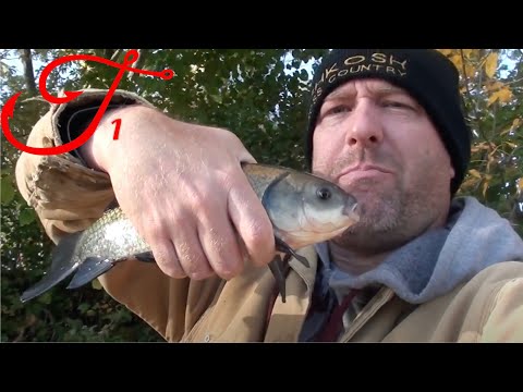 Fishing for Bigmouth Buffalo - Quest 1 of 50