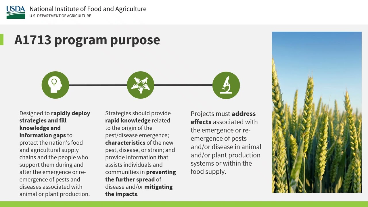 A1713 Rapid Response About